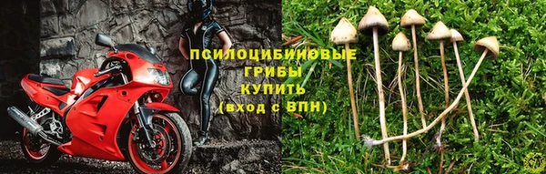 скорость mdpv Белокуриха