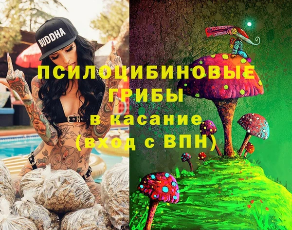 ешки Богородск