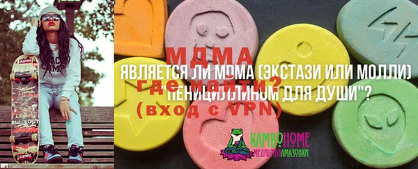 гидра Богородицк